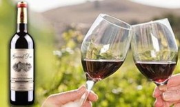 葡萄酒最新爆料视频,探寻顶级佳酿背后的秘密