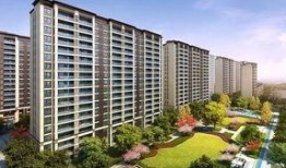 台州十九楼最新爆料,揭秘最新热点事件内幕